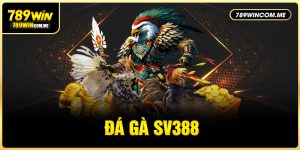 Đá gà SV388 789WIN