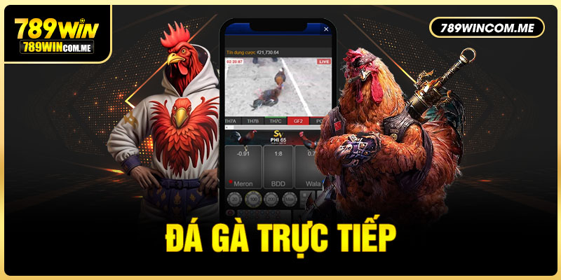 đá gà trực tiếp 789WIN