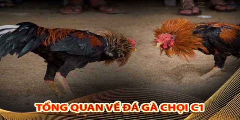 Kinh nghiệm tham gia cược hiệu quả nhất từ chuyên gia nhà cái 789win