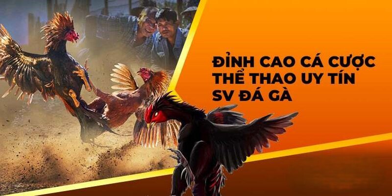 Kinh nghiệm tham gia vào kèo của 789win cho người mới bắt đầu