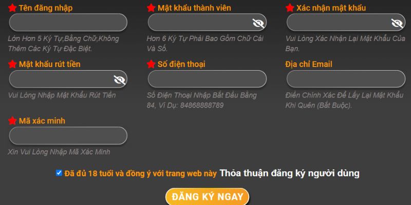 Thông tin bạn cần điền khi đăng ký thành viên 789win